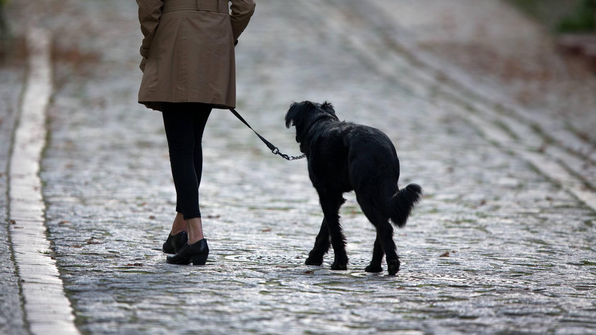 ARCHIV - Eine Frau geht mit ihrem Hund am 14.10.2014 in Lübz (Mecklenburg-Vorpommern) über eine mit Kopfsteinen gepflasterte Straße. 