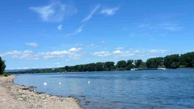 Im Vordergrund sieht man den Rhein unter blauem Himmel. Drei Schwäne schwimmen an Ufernähe und im Hintergrund ist ein Binnenschiff zu sehen. 