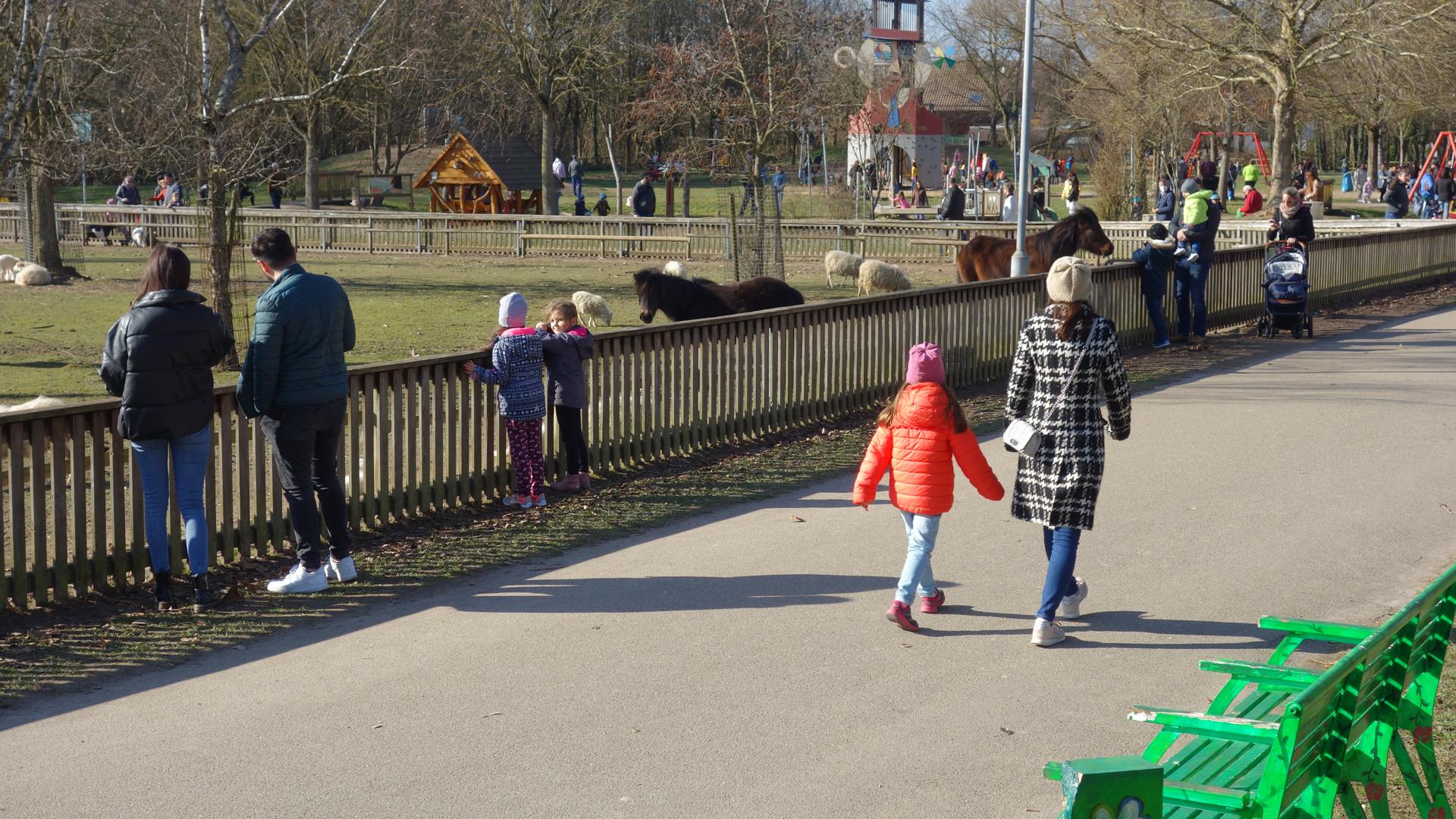 Tiere und Sonne: Viele Familien mit Kindern besuchten den Freizeitpark bei Muggensturm. Die Tiere wurden ausgiebig gestreichelt. 