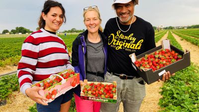 Zwei Frauen und ein Mann zeigen ihre selbst gepflückten Erdbeeren.