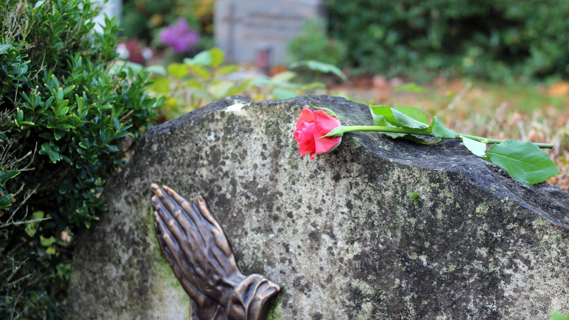 Die Rose auf dem Grabstein ist noch da, das Gesteck ist weg: Doch egal, ob einzelne Blume oder teure Büste - viel schwerer als der materielle Verlust wiegen für die Angehörigen der Eingriff in die persönliche Sphäre und die Respektlosigkeit. 