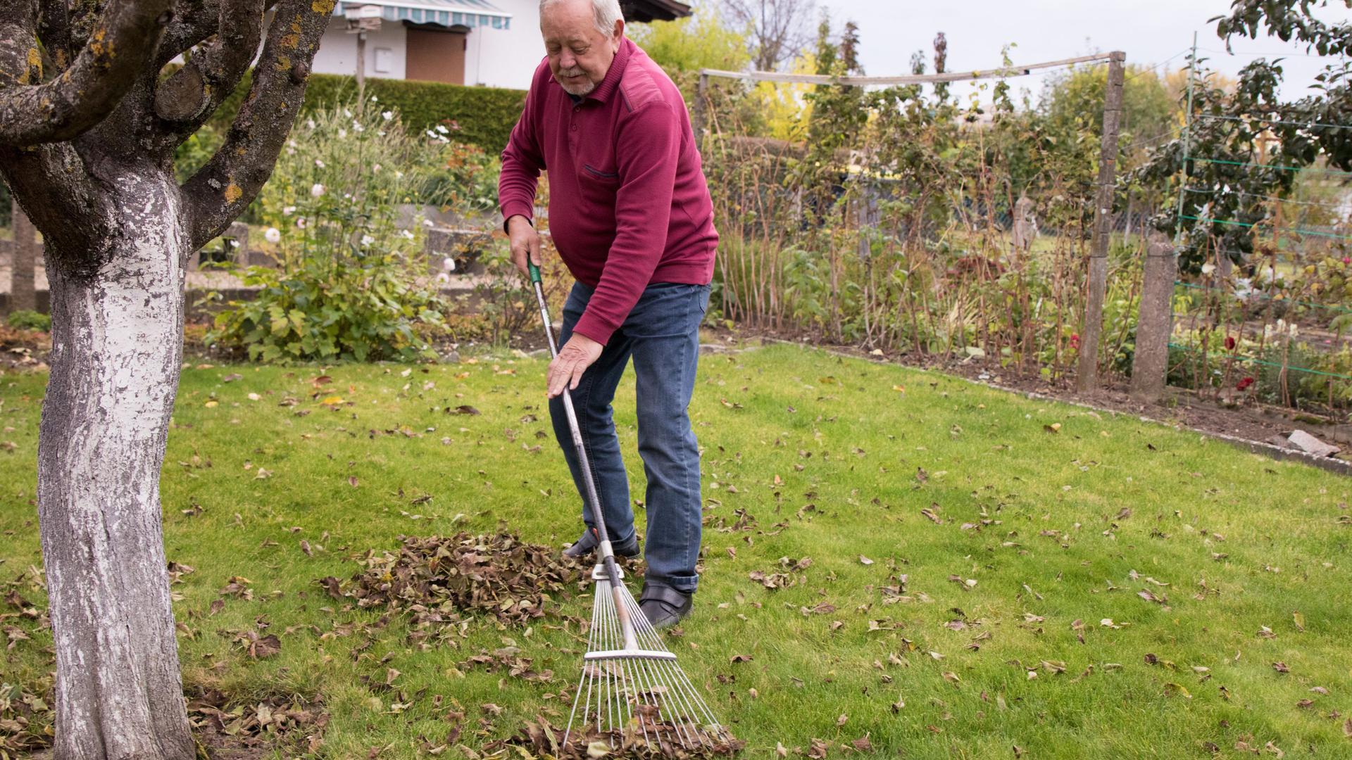 Ein Mann harkt Laub in seinem Garten