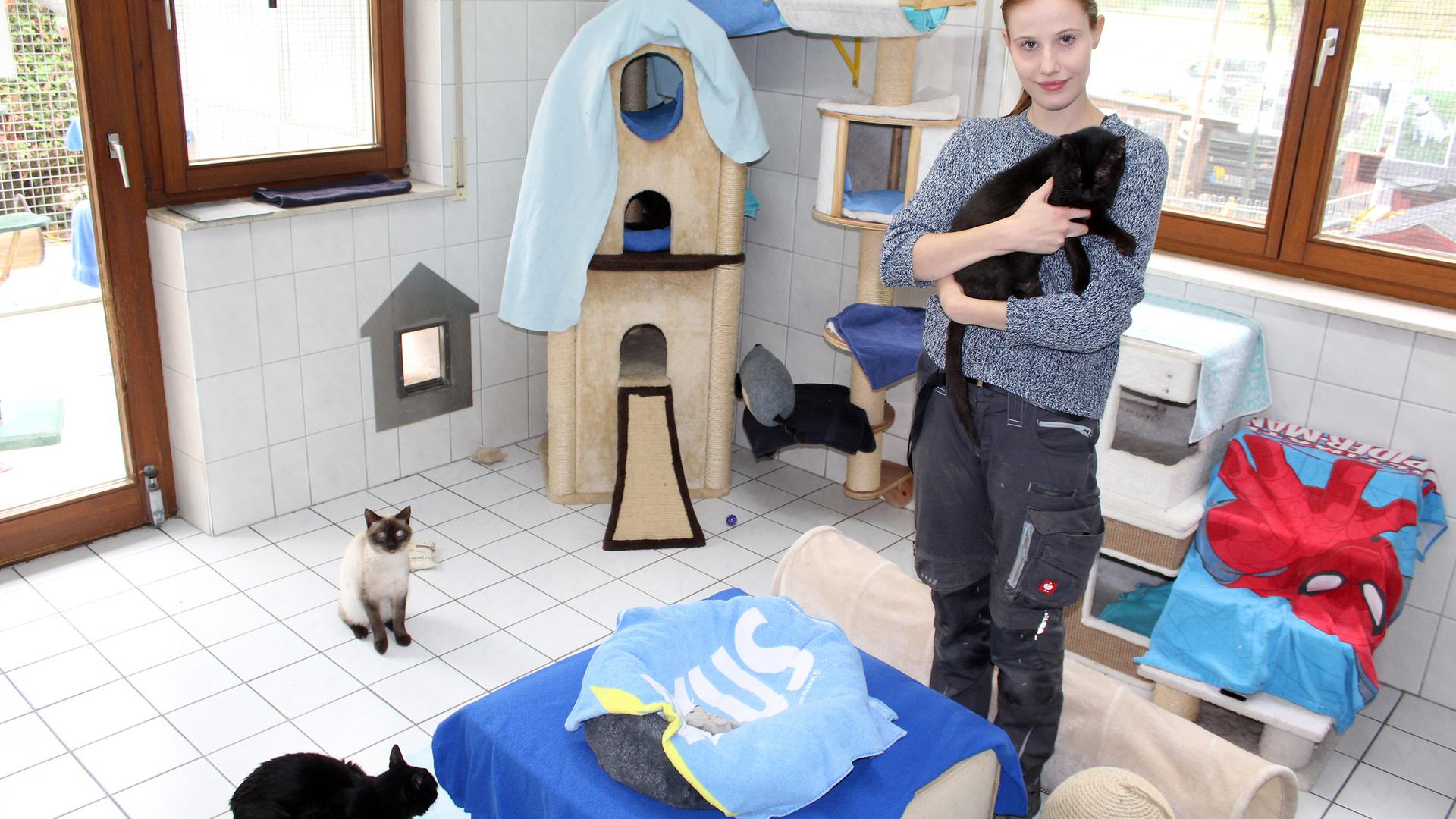 Eine junge FRau mit einer schwarzen Katze auf dem Arm, ein Katzenkörbchen in der Mitte und zwei weitere Katzen.