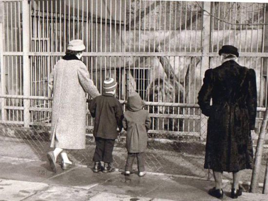 Frau, Kinder und Mann stehen vor einem Käfig.