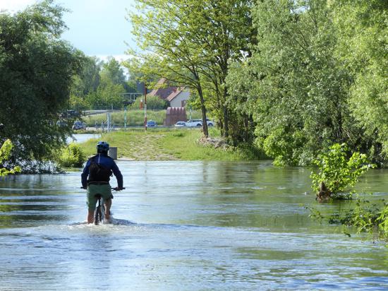 Hochwasser sind die Rheinanliegergemeinden gewohnt: Kurz vor dem Brückenkopf bei Au am Rhein ist im Mai 2021 die Straße überschwemmt.