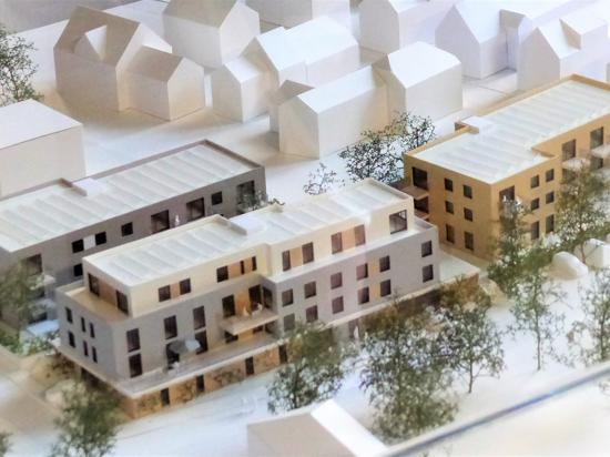 Ein Modell des umstrittenen Wohnprojekts, das an der Pestalozzistraße in Au am Rhein geplant ist. Es kann im Rathaus angeschaut werden.