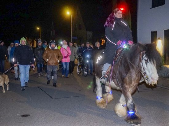 Protestmarsch von Bauern und Unterstuetzern in Au am Rhein, im Vordergrund eine Reiterin auf einem Pony.