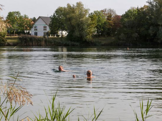 Blick auf dem Ottersdorfer Baggersee, zwei Schwimmer sind zu sehen.                         