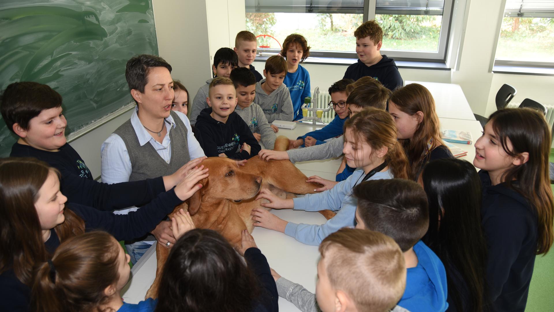 Anfassen erlaubt: Der Schulhund Arthur von Lehrerin Daniela Lamprecht besucht die Klasse 5a der August-Renner Realschule und holt sich seine Streicheleinheiten ab.