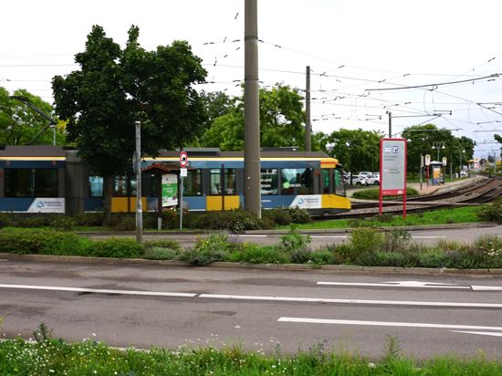 Stadtbahn, Haltestelle