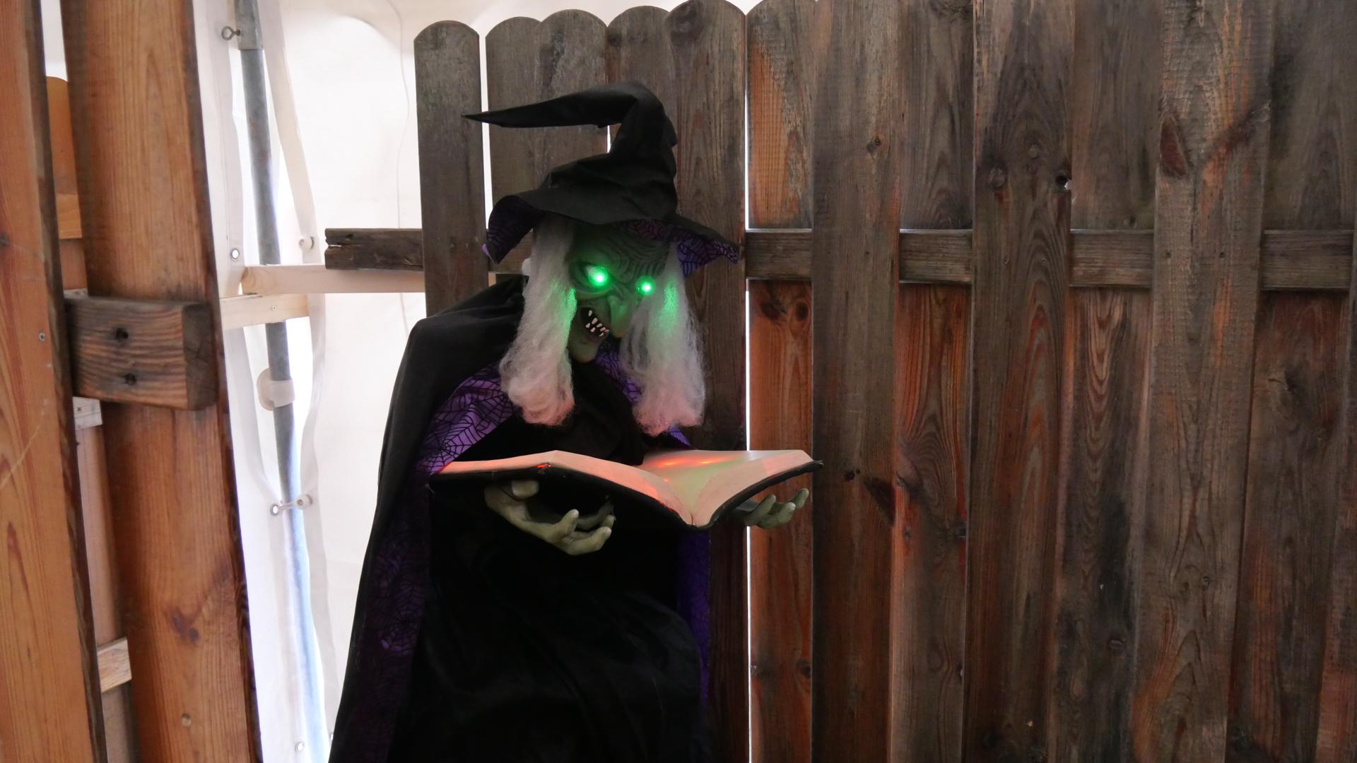 Eine Hexe bei den Halloween Horror Nights in Durmersheim.