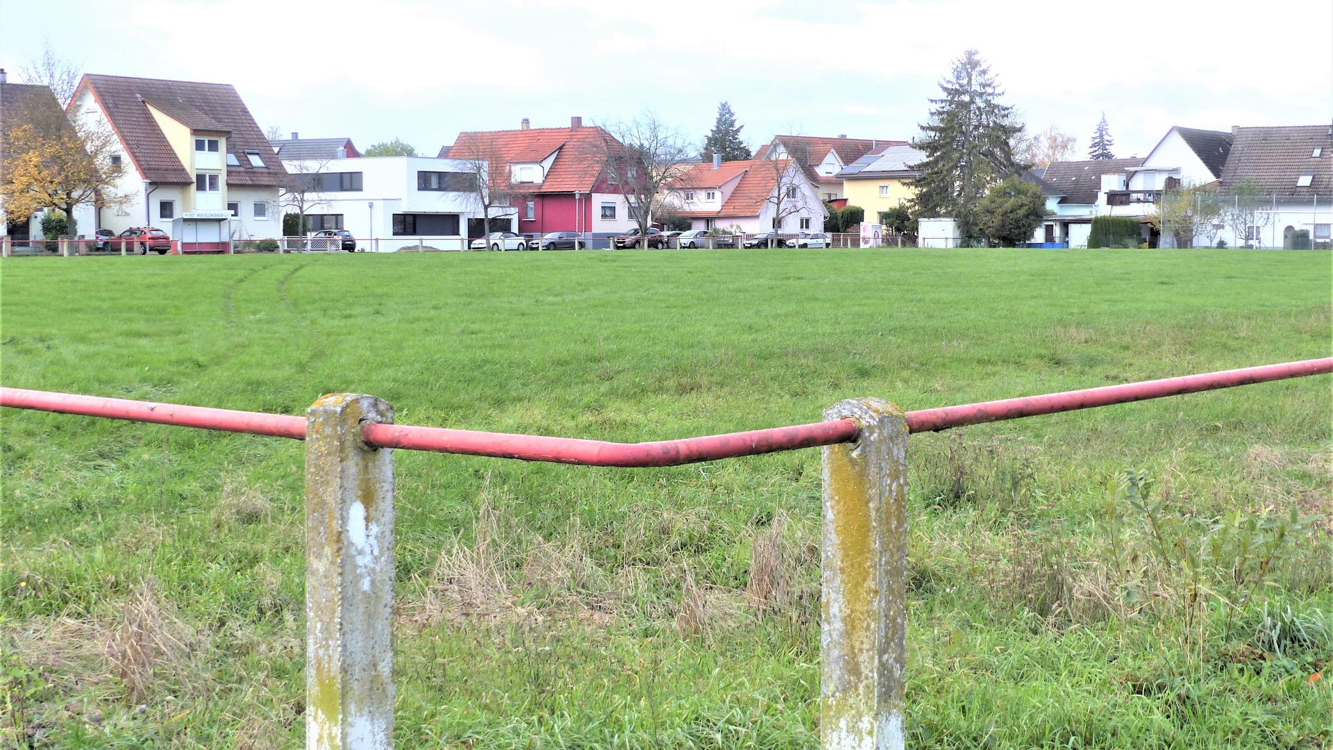 Statt Fußballrasen soll in Nachbarschaft zu Wald- (links) und Frühlingstraße (rechts hinten) bald das Baugebiet Bachstück aus dem Boden wachsen.