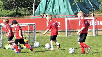 Die Jugend des Fußballvereins Rot-Weiß Elchesheim bleibt am Ball. Ab 1. Juli trainiert sie in Illingen. Die Gemeinde übernimmt die Kosten.