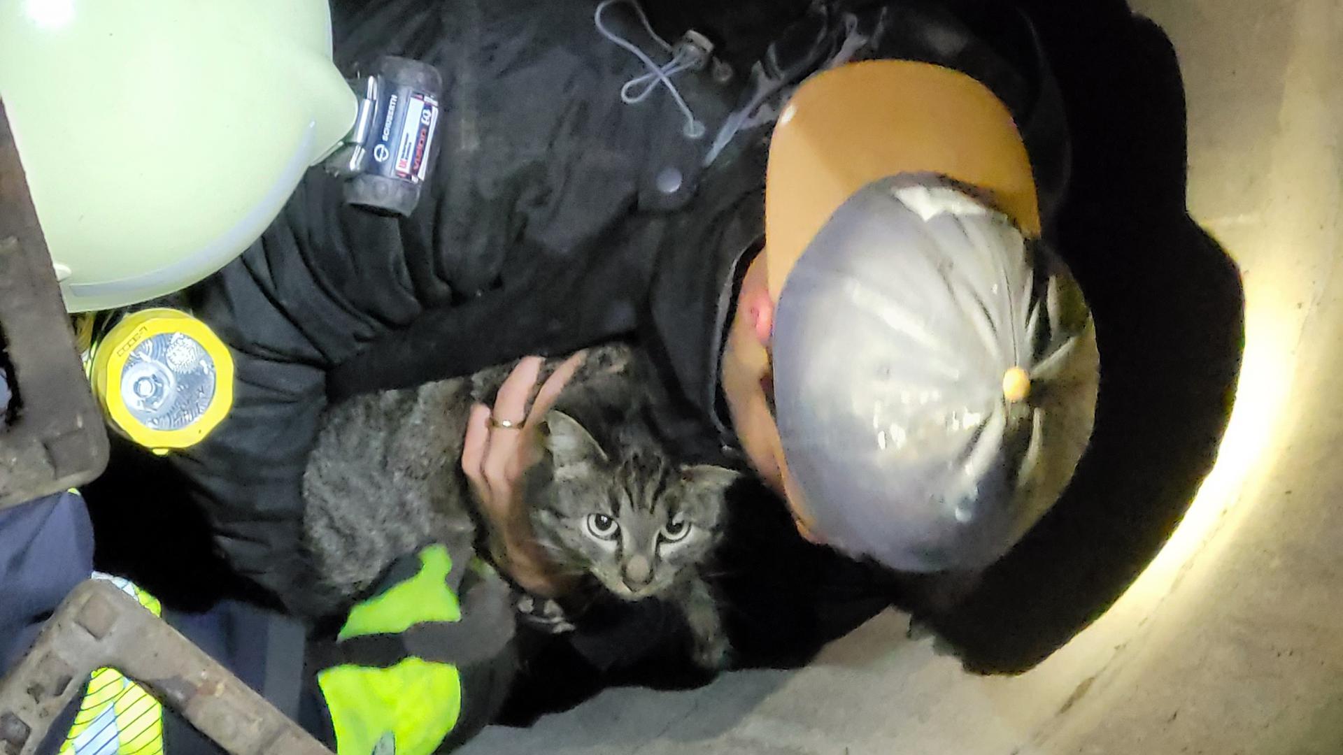 Rettung aus dem Schacht: Ein Feuerwehrmann holt Katze „Monti“ aus dem Gully.