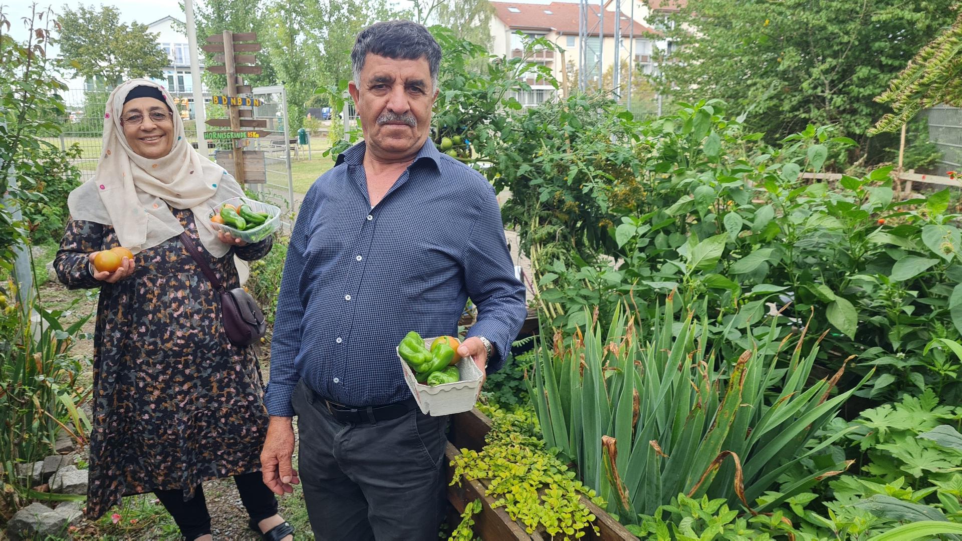 Eine Frau und ein Mann stehen in einem Garten und haben Gemüse geerntet in Körbchen.