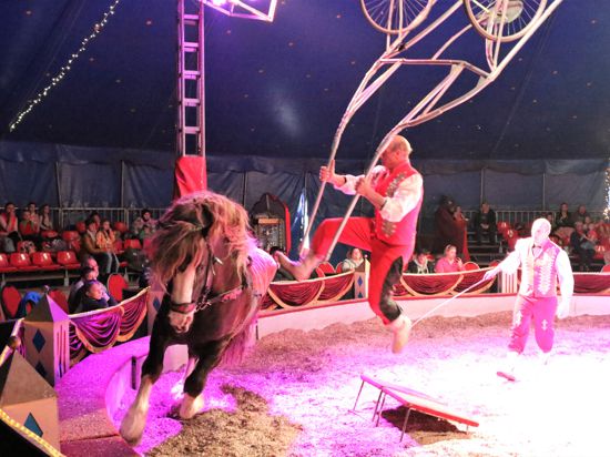 Zirkusvorstellung mit Pferd