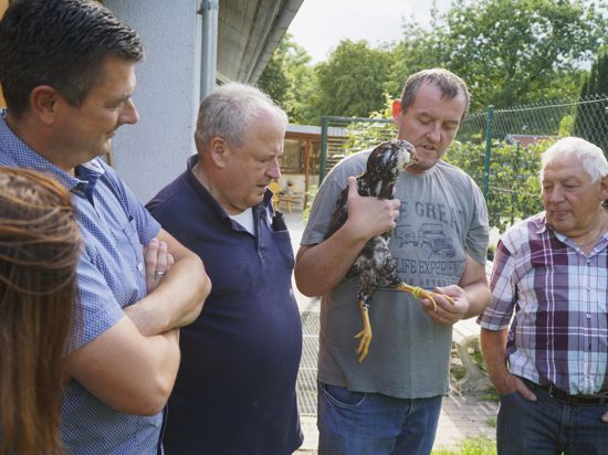 Der Vorsitzende des Kleintierzuchtvereins Iffezheim, Martin Bosler, mit Helmut Senser, Markus Reichert und Thomas Ulrich (von links). Reichert hält ein Orloff-Huhn in der Hand.