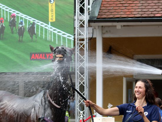 Da lacht das Pferd: Und die Pferdeführerin lacht mit. Zusätzlich zum Nass von oben gab’s vor der Siegerehrung auch noch eine kräftige Dusche.