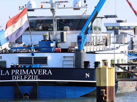 Festgesetzt: Das Frachtschiff La Primavera liegt am Dienstag unmittelbar vor der Rheinschleuse Iffezheim, deren Schleusentor sie vor fünf Monaten zerstörte.