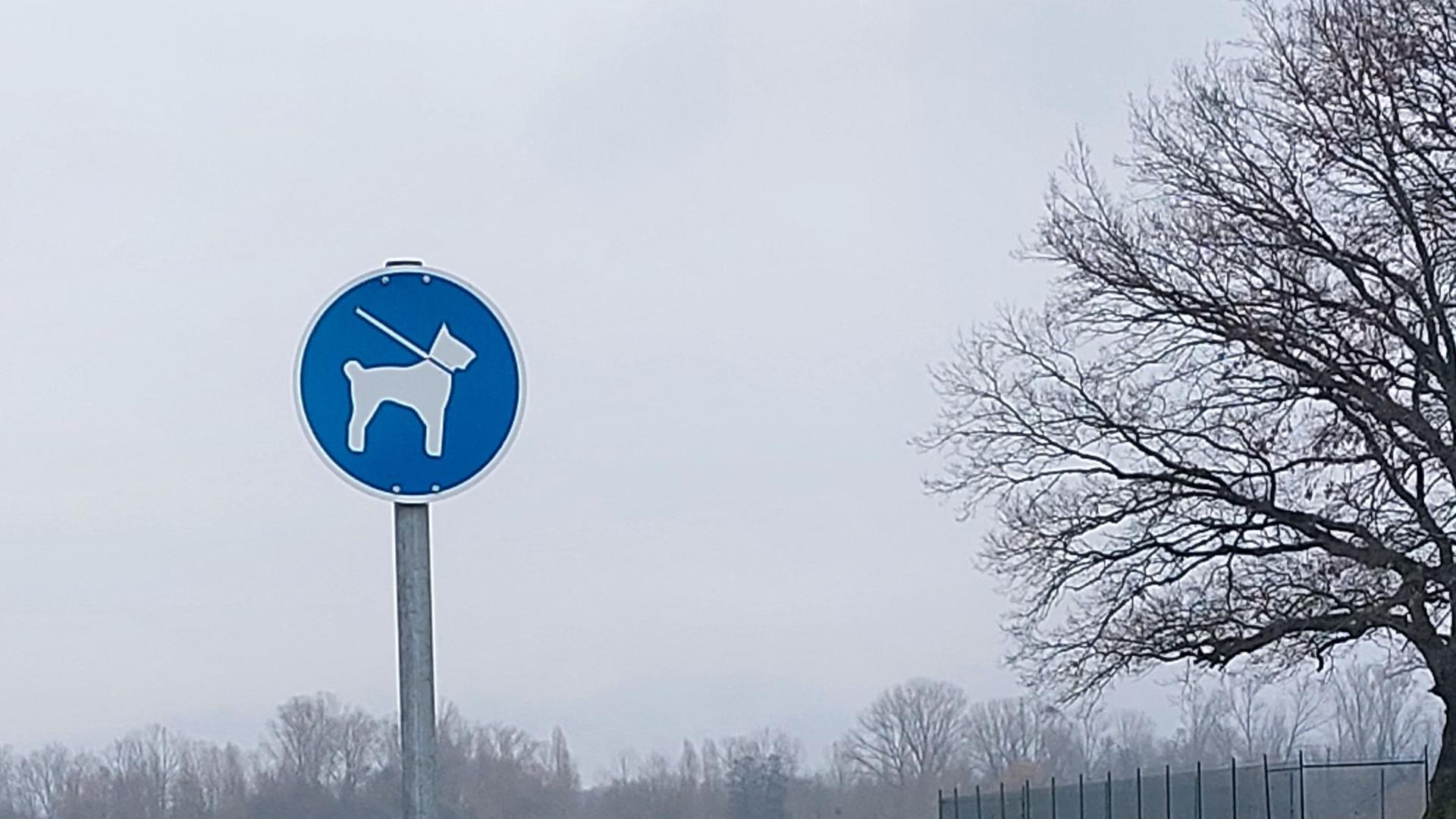 Hunde an die Leine: 16 Schilder hat die Gemeinde Muggensturm aufgestellt, nachdem sich Beschwerden gehäuft hatten.
