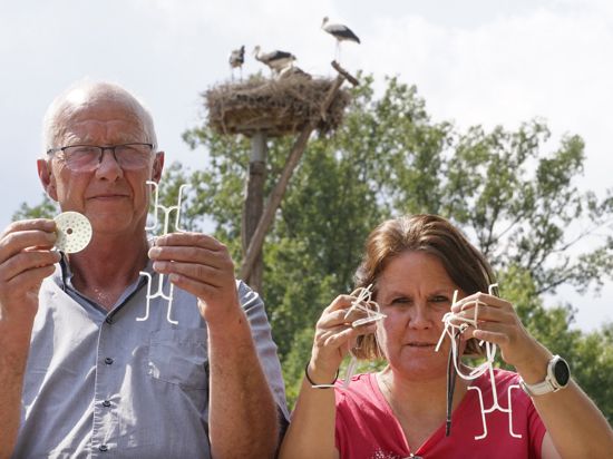 Die Storchenbeauftragten Stefan Eisenbarth und Annette Jung zeigen einige der Silikon-Fundstücke, die sie in einem Storchennest in Muggensturm gefunden haben.                              