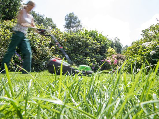 ILLUSTRATION - Eine Frau maeht am 13.07.2018 in einem Garten in Hamburg den Rasen mit einem Rasenmaeher (gestellte Szene). Foto: Christin Klose || Modellfreigabe vorhanden