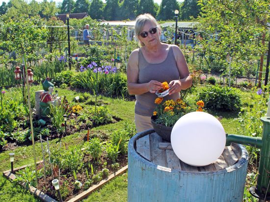 Passionierte Anbauerin von Gemüse: Für Cecilie Koziolek spielt neben der Arbeit an der frischen Luft auch der Aspekt der Selbstversorgung eine Rolle.