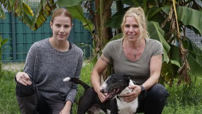 Die Leiterinnen des Tierheims Rastatt Silke Vierboom (blond) und Saskia Joeres (li) mit Problem-Bullterrier Theison.