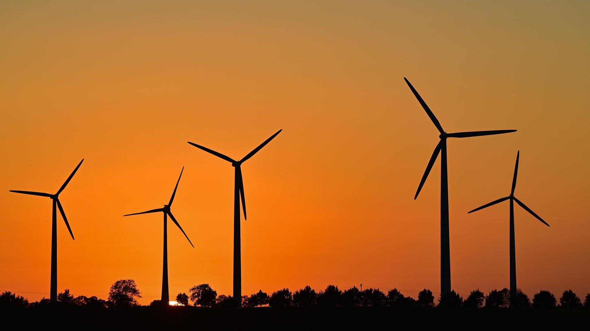 ARCHIV - Immer mehr neue Windenergieanlagen gehen in Betrieb. Foto: Patrick Pleul/dpa-Zentralbild/ZB
