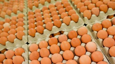 Eier werden in einem Betrieb für die Produktion von Eiern aus Freilandhaltung abgepackt. 