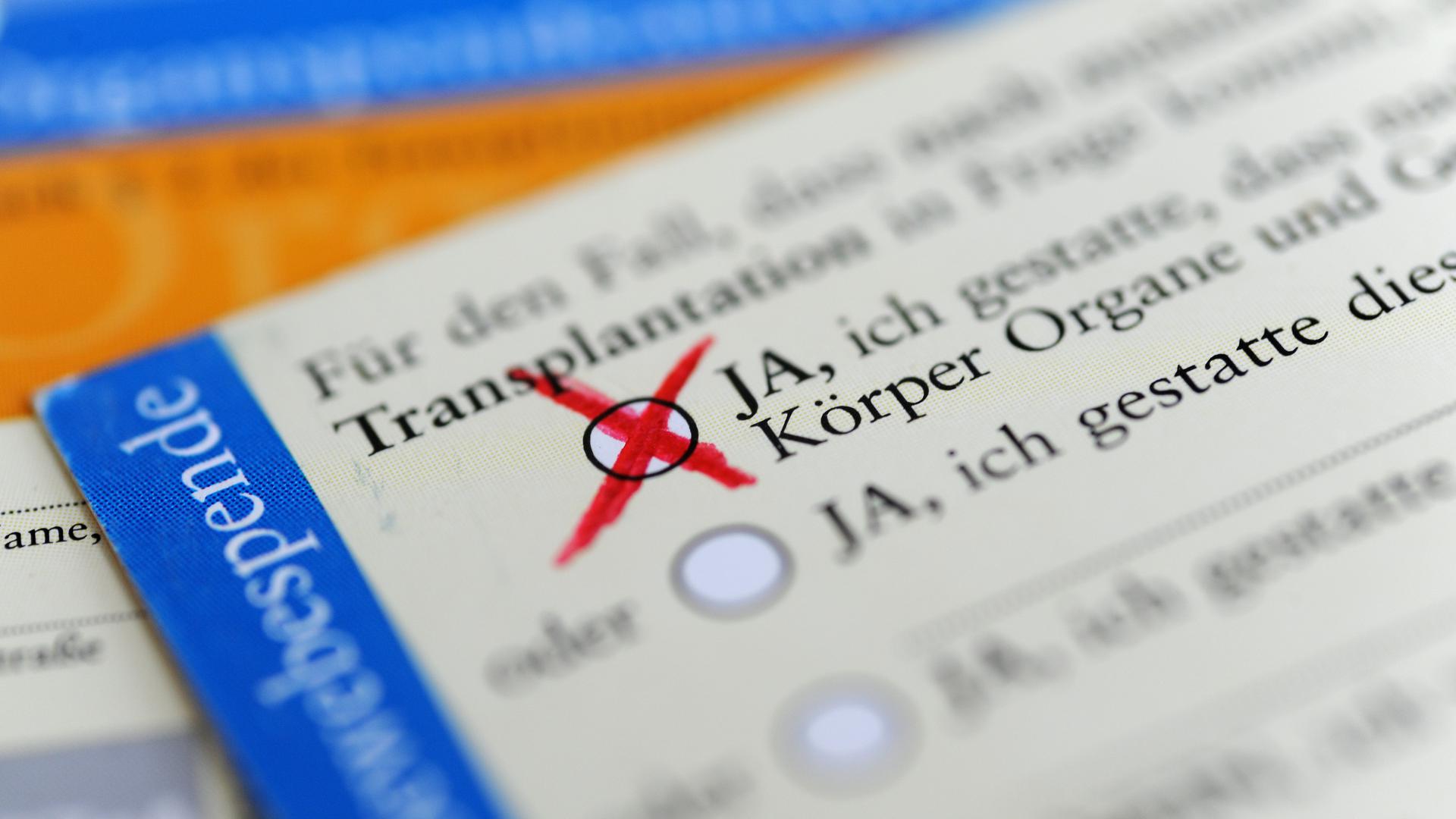 ILLUSTRATION - Die Rückseite eines ausgefüllten Organspendeausweises. Eine neue Aufklärungskampagne zum Thema Organspende in Rheinland-Pfalz soll gezielt junge Menschen ansprechen. +++ dpa-Bildfunk +++
