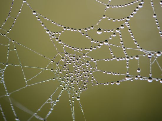 Morgentau hat sich in einem Spinnennetz gesammelt. Zum Start der Herbstferien in Nordrhein-Westfalen zeigt sich das Wetter am Wochenende von der schönen Seite. Es bleibt trocken und es gibt recht viel Sonne. +++ dpa-Bildfunk +++