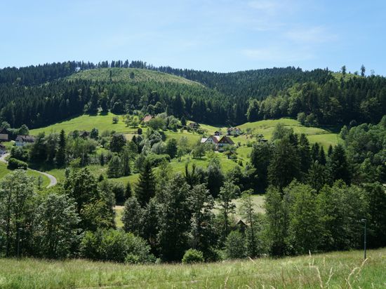 Beliebte Ziele sind gefragt: Hotels, Ferienwohnungen und Campingplätze dürfen wieder öffnen und werden häufig gebucht. Der Tourismus im Land erwacht. Die Aufnahme zeigt das Tonbachtal im Schwarzwald.