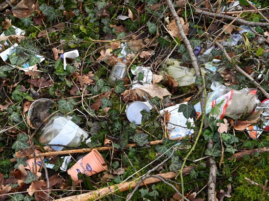 Illegal entsorgter Müll liegt am Rand eines Parkplatzes auf dem Waldboden.