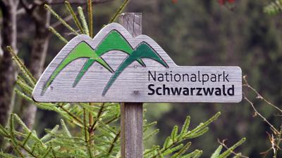 Ein Holzschild mit der Aufschrift «Nationalpark Schwarzwald», aufgenommen bei Seebach am Ruhestein. Dort steht das Besucher- und Informationszentrum des Nationalparks Schwarzwald. (zu dpa: «Besucheransturm in Corona-Zeit im Nationalpark Schwarzwald») +++ dpa-Bildfunk +++