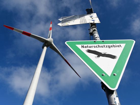 Auf der Hornisgrinde im Nordschwarzwald steht ein Schild mit der Aufschrift «Naturschutzgebiet». Dahinter ist ein Windrad zu sehen. (zu dpa «Naturschützer: Windenergie-Ausbau ohne private Flächen unrealistisch») +++ dpa-Bildfunk +++