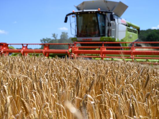 Zukunftsweisend: Ein 1,5-Milliarden-Euro-Programm, das am Dienstag im Kabinett beraten wird, soll in der Landwirtschaft wichtige Weichen stellen.