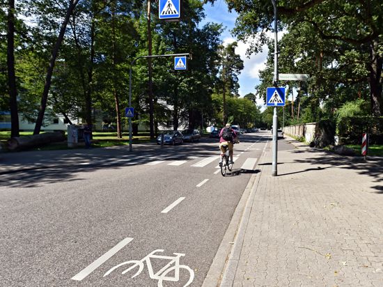 Ein Fahrradfahrer auf dem Fahrradweg vor dem Fußgängerüberweg (Symbolbild)