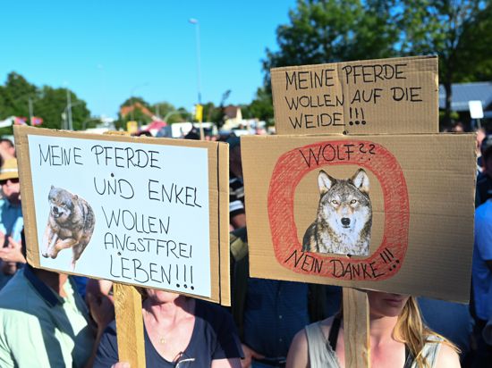 Die Emotionen kochen hoch: Teilnehmer einer Demonstration tragen Schilder mit Anti-Wolf-Botschaften. Das Bild entstand in Friesland, doch die wachsende Zahl von Wölfen und von gerissenem Nutzvieh macht Menschen in vielen Teilen Deutschlands inzwischen Angst – auch im Schwarzwald.