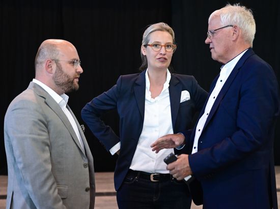 Die AfD Politiker Markus Frohnmaier (v.l), Alice Weidel und Emil Sänze stehen in der Messehalle in Stuttgart beim AfD Landesparteitag nach der Wahl zur neuen Doppelspitze im Land zusammen. Die bisherige Landesvorsitzende Alice Weidel war nicht mehr zur Wahl angetreten. +++ dpa-Bildfunk +++