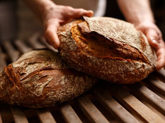 Die durchschnittliche Einkaufsmenge von Brot je Käuferhaushalt lag 2019 bei 39,9 Kilo.