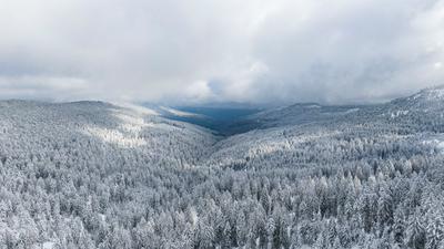 Weißgepuderte Schwarzwald-Idylle: So romantisch wie die Winterlandschaft aussieht, ist die Lage für den Ski-Tourismus allerdings nicht. Oft fehlen die Niederschläge bei eisigen Temperaturen.