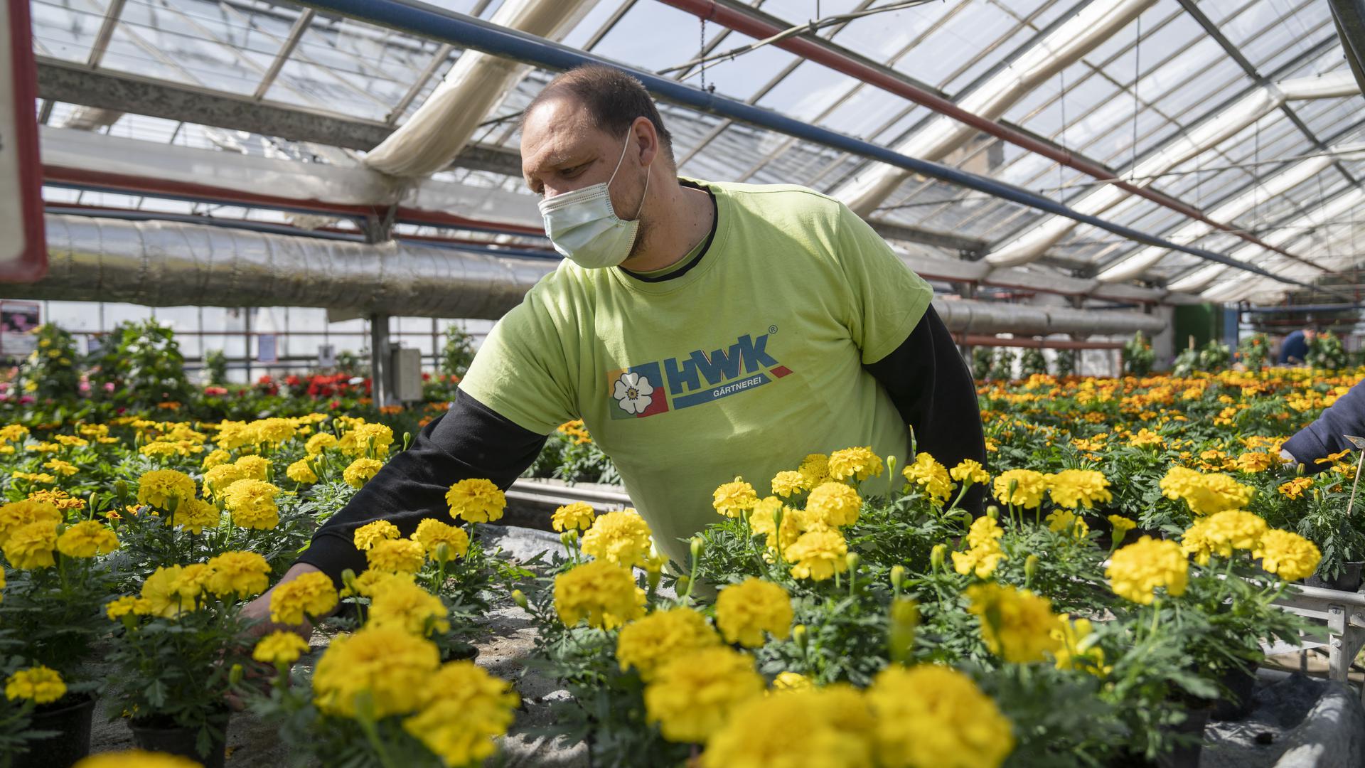 Andreas Kolbe kümmert sich um die Blumen.