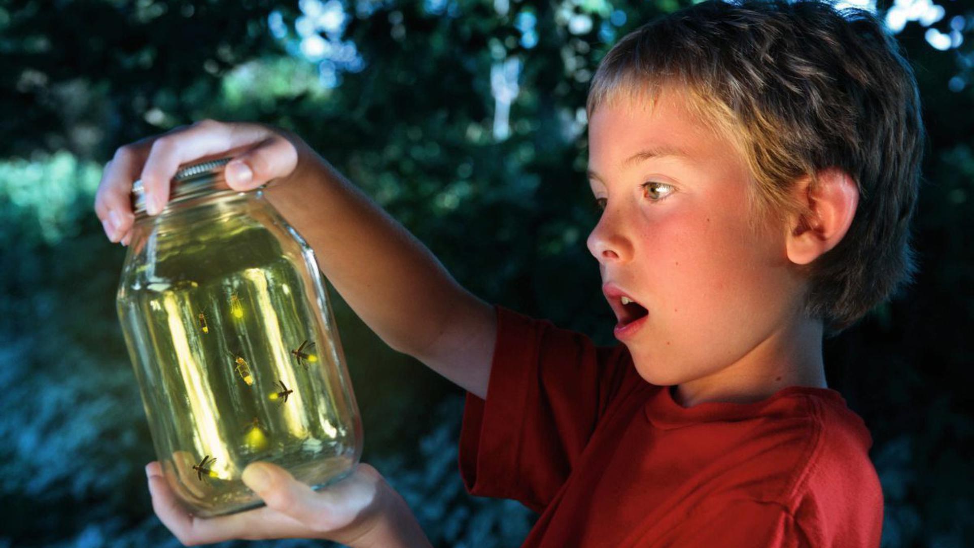 Ein Junge staunt über ein Einmachglas, in dem Glühwürmchen sind.