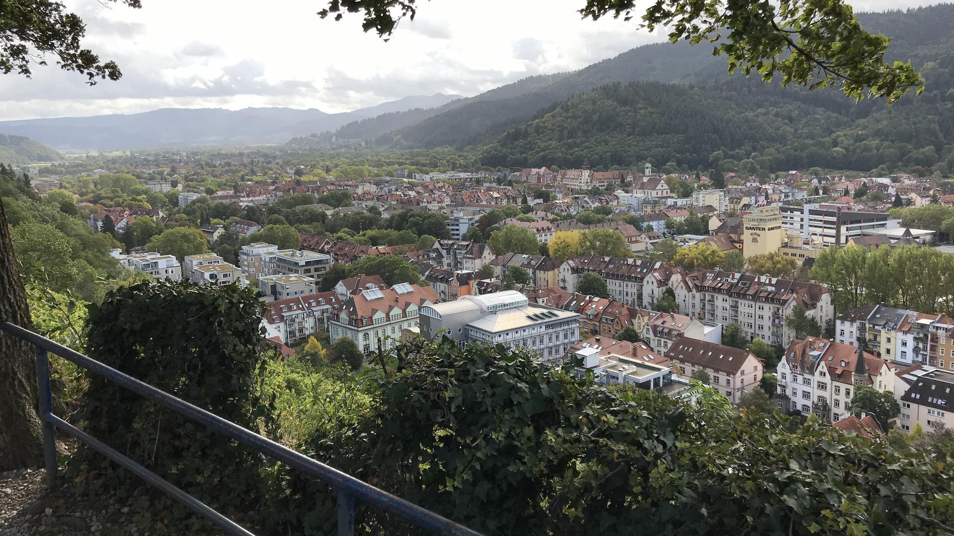 Blick Richtung Schwarzwald: Die Freiburger lieben ihren Schlossberg. Hier kann man herrlich wandern. 