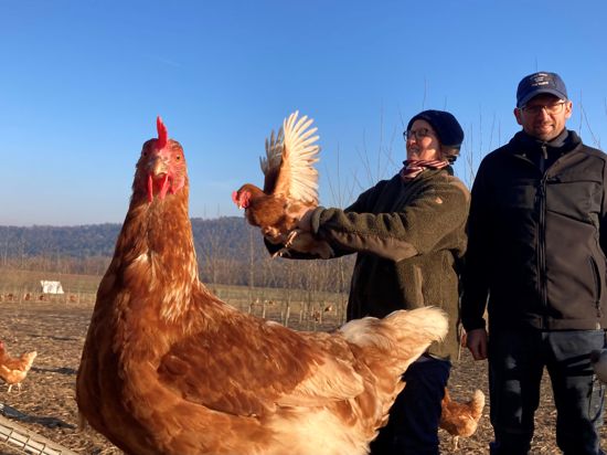 Die Landwirte Sophie und Jonathan Kraul im Hühnergehege.
