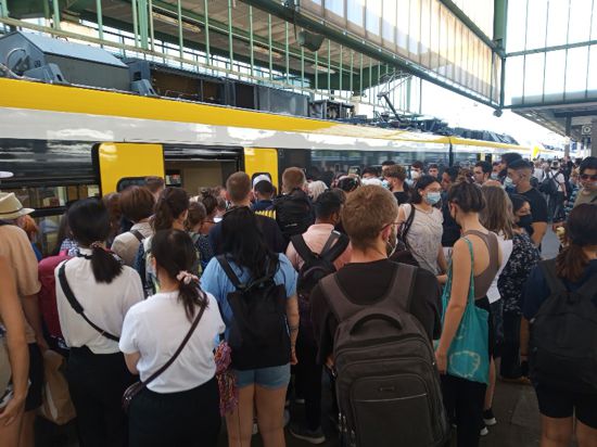 Viele Menschen wollen in einen Zug einsteigen. 