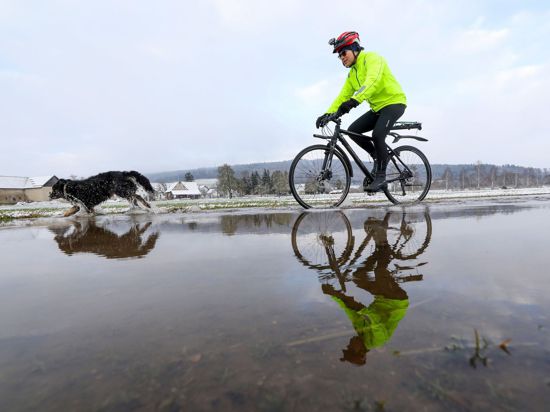 Ein Radfahrer und sein Hund sind auf einem von Wasser überfluteten Weg nahe der Donau unterwegs.