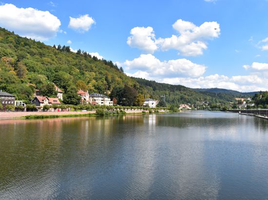Rundtour mit Stadtansichten: Die Wanderung führt am Ende zwei Kilometer weit am Neckarufer gegenüber der Heidelberger Altstadt vorbei.