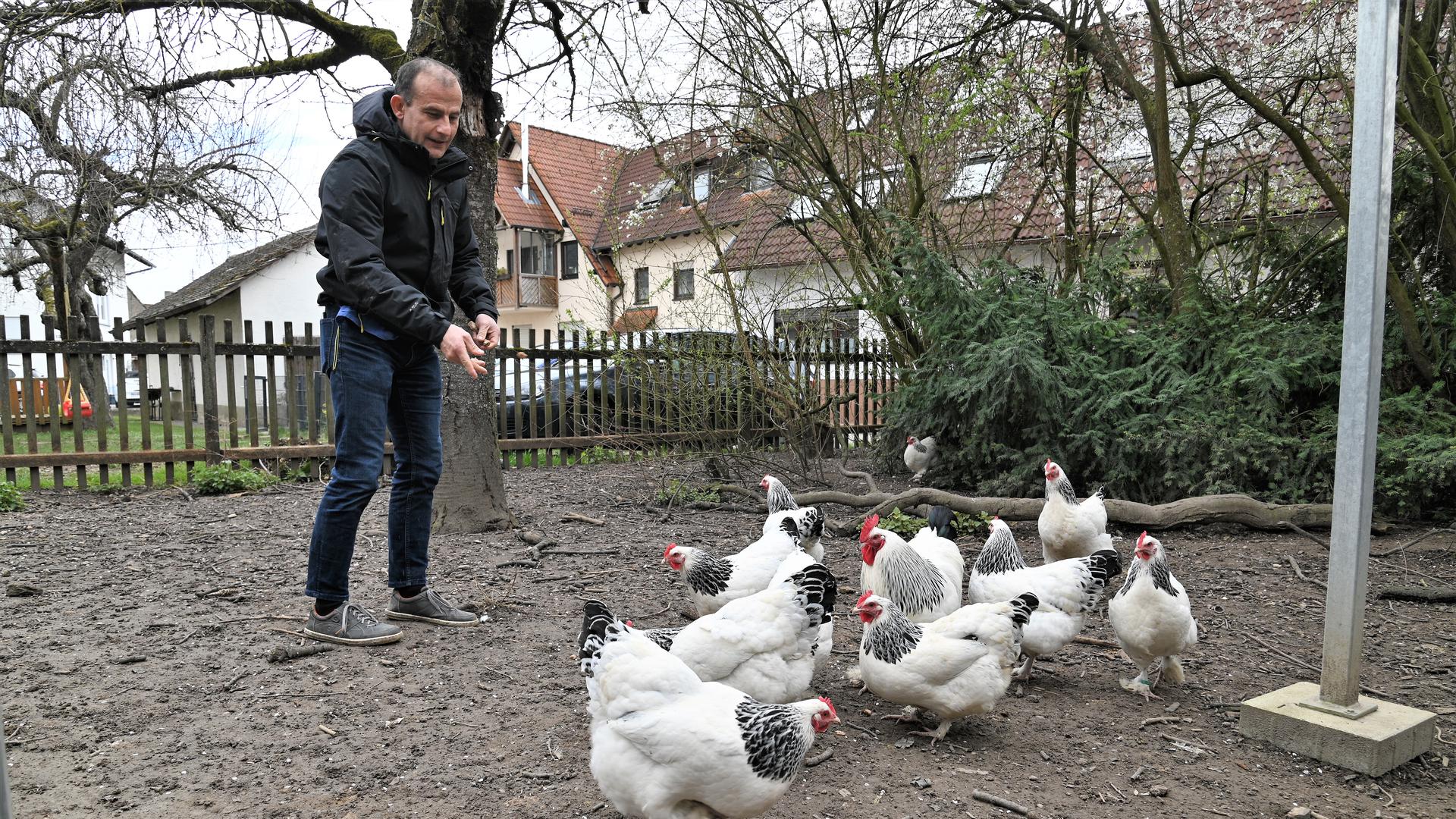 Tierarzt Michael Götz füttert seine Hühner.